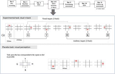 Working Memory Training Coupled With Transcranial Direct Current Stimulation in Older Adults: A Randomized Controlled Experiment